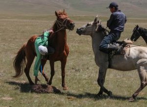 Jeux équestres proches du buzkashi