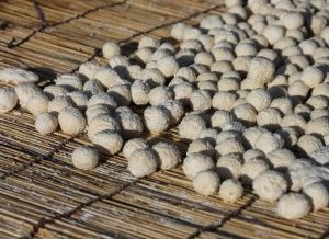 Le qurut, fromage fabriqué à partir du petit lait